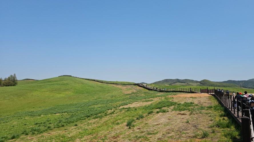 소는 못 봤지만 서산 한우목장 웰빙산책로