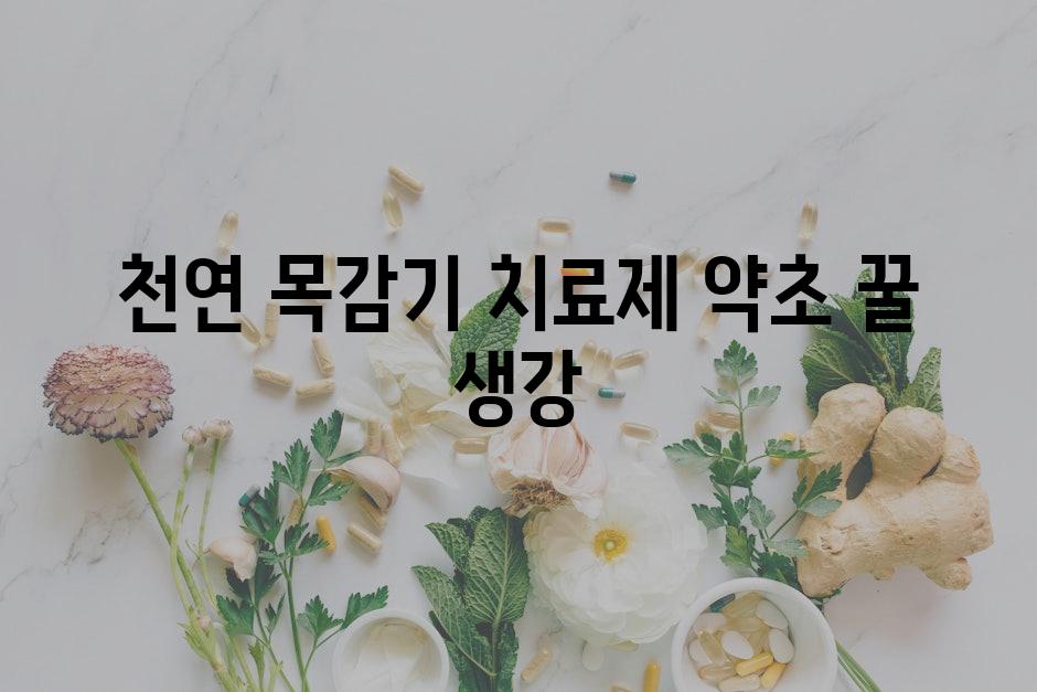 천연 목감기 치료제 약초 꿀 생강