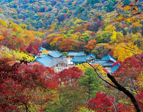 2025 가을 여행지 추천 TOP 5 관련사진