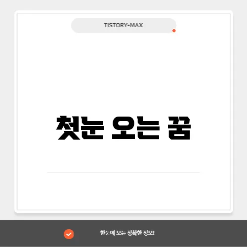 첫눈 오는 꿈