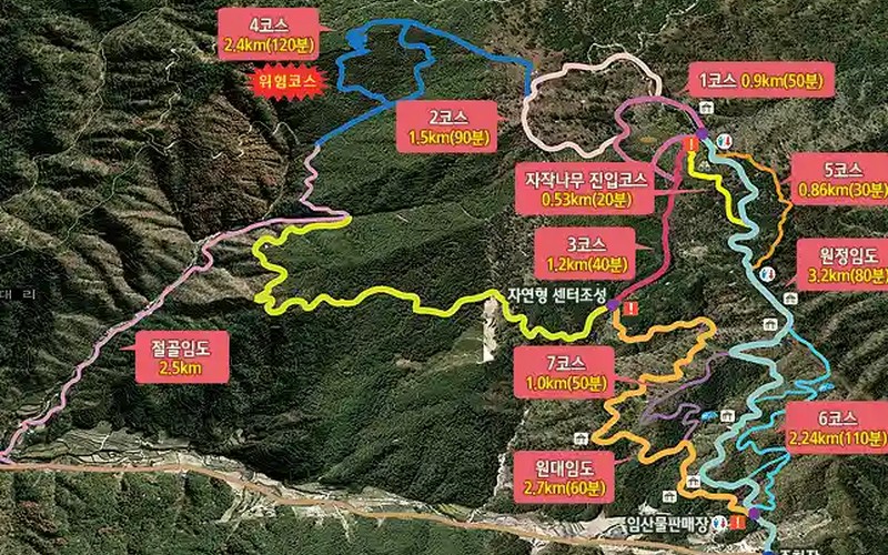 인제 자작나무숲 새하얀 가을 가이드: 운영시간·무료주차·추천코스 총정리
