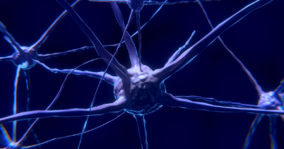 신경압박 증상, 원인, 치료법 총 정리 (2025 최신)