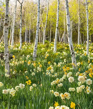 화담숲 테마별 사진