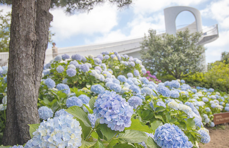 9월 제주도 가볼만한 곳 BEST 10 (할인 꿀팁!)