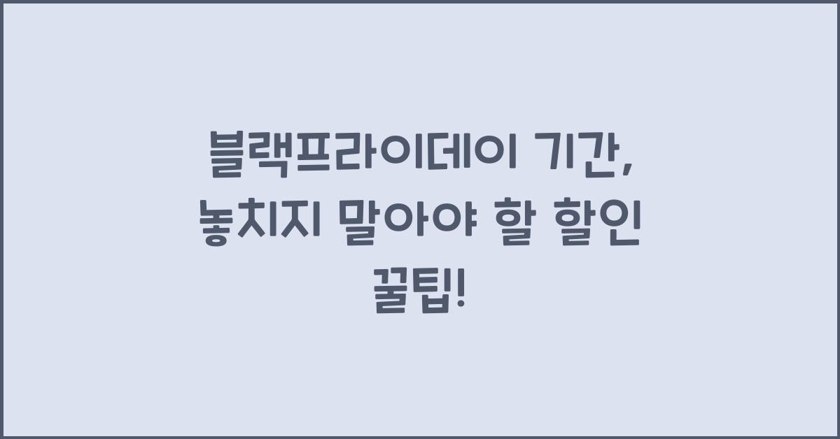 블랙프라이데이 기간