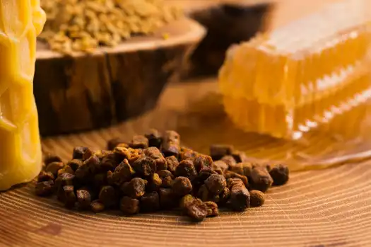 프로폴리스 효능효과 영양성분과 부작용