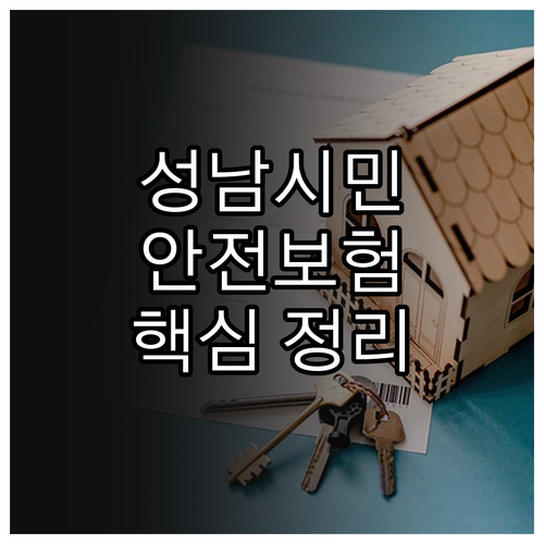 2025 성남시 시민안전보험 완벽 분..