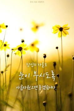 가을이미지
