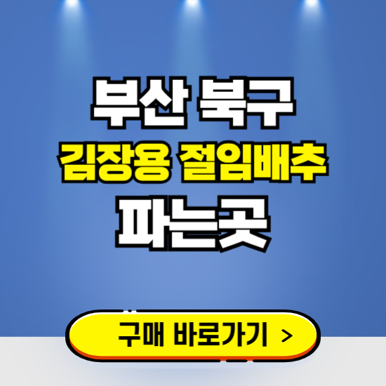 부산 북구 절임배추 사전예약 구입하는곳 ❘ 김장배추 파는곳 가격보기