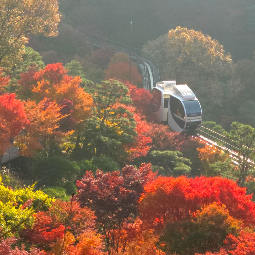 화담숲 모노레일 홈페이지 참조