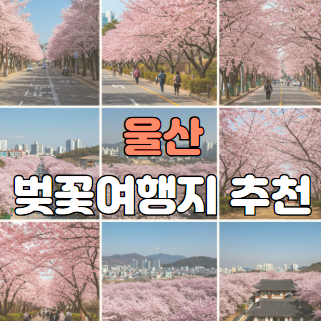 울산 벚꽃여행지 추천
