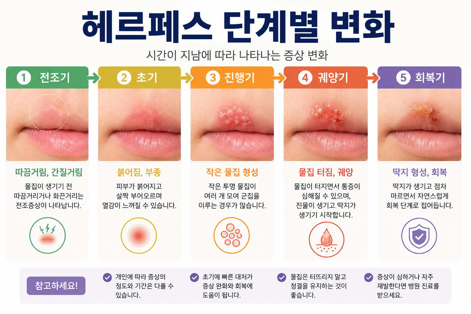 헤르페스 단계별 변화