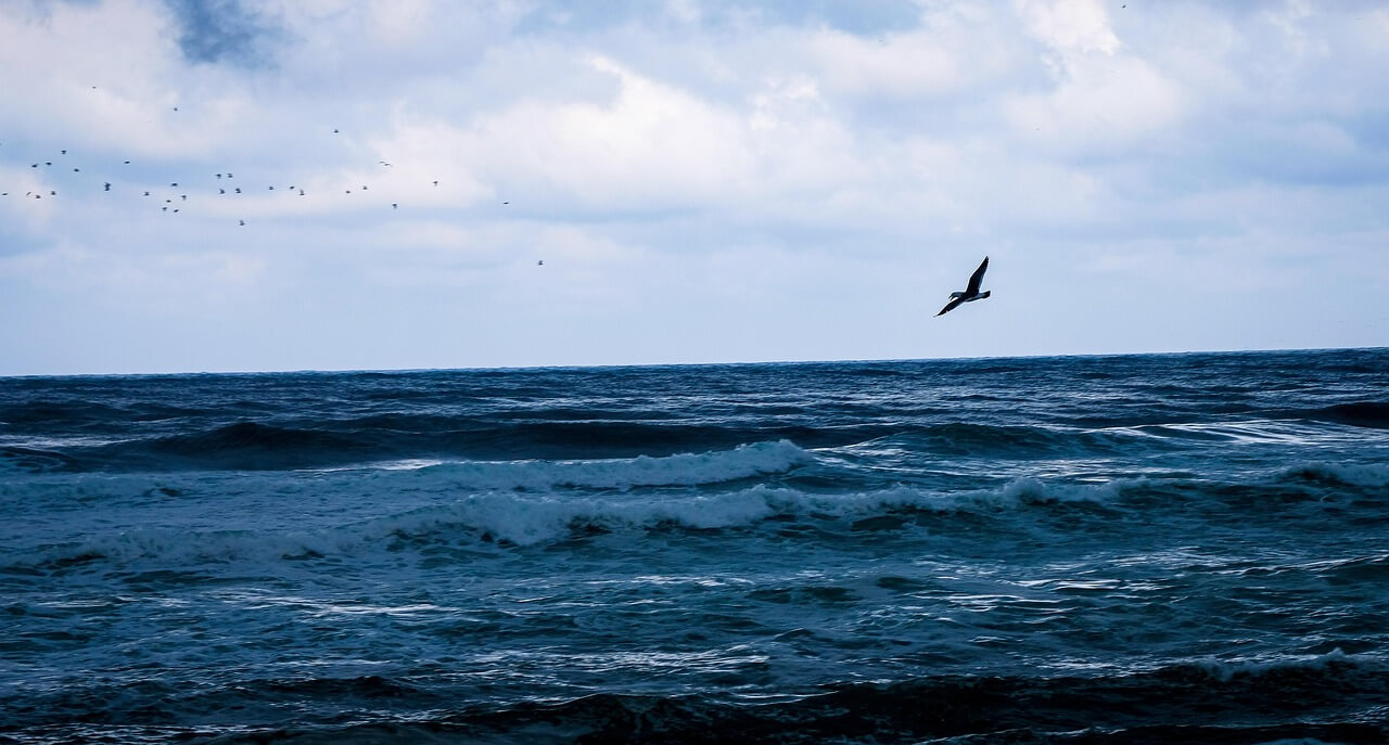 2025 경북 해수욕장 개장일 및 폐장일 안내