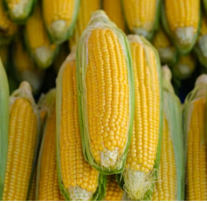 황반변성에 좋은 음식 영양제 식단