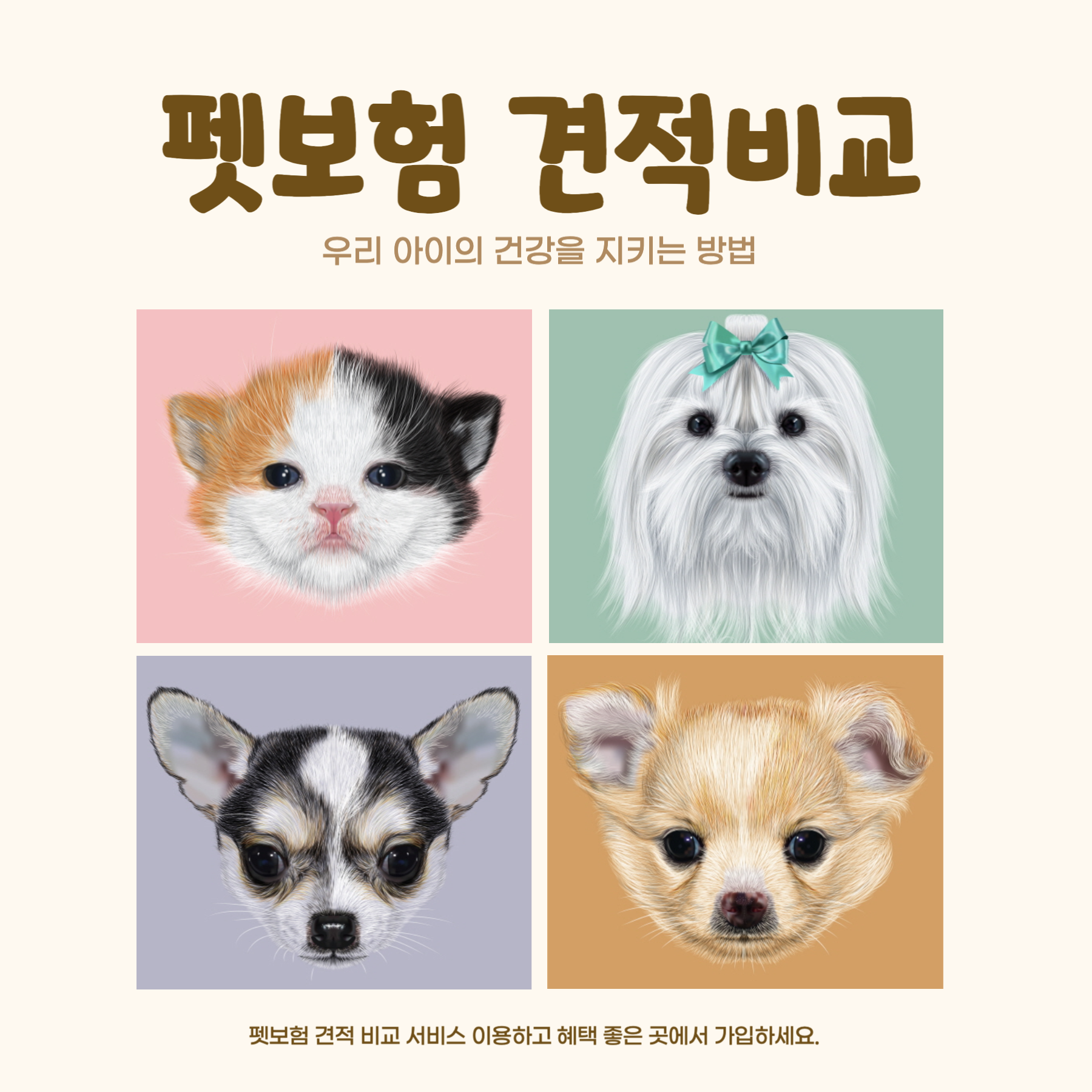 펫보험