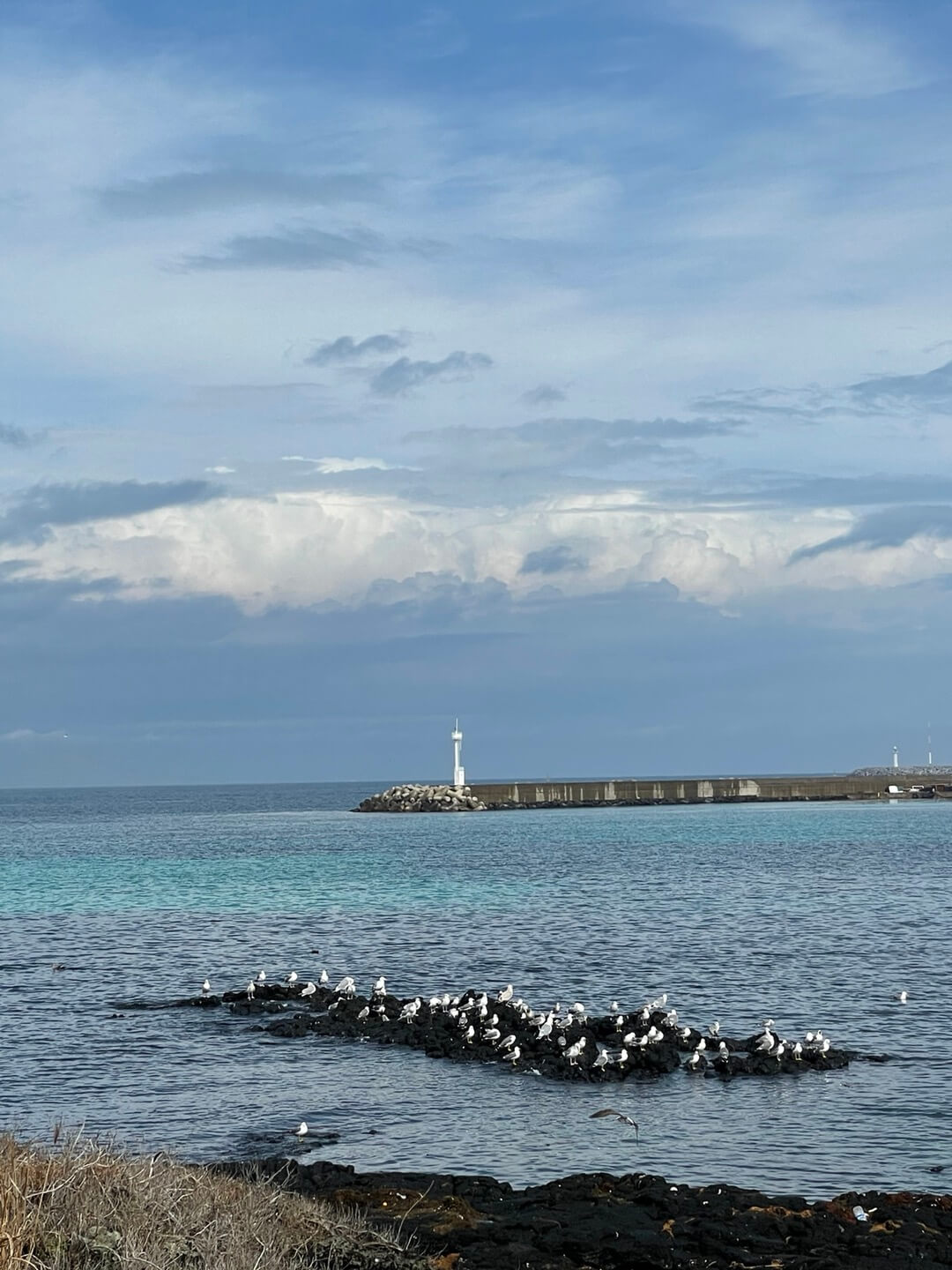 제주도 항공권 싸게 사는 방법