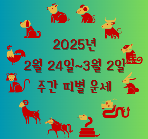 2025년 2월 24일~3월 2일 주간 띠별 운세