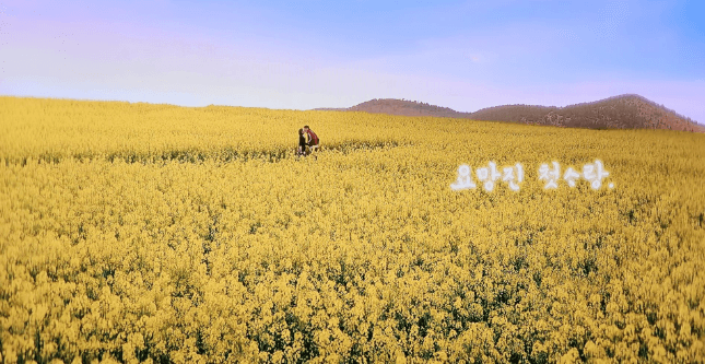 고창 학원 농장 입장료 총정리 관련사진