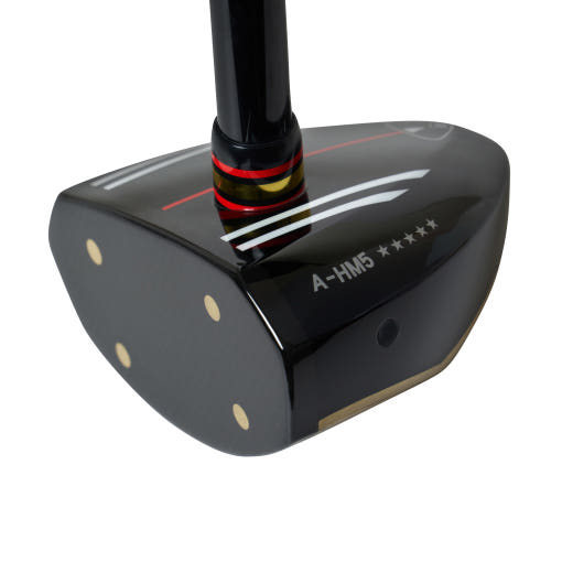 파크골프채 추천