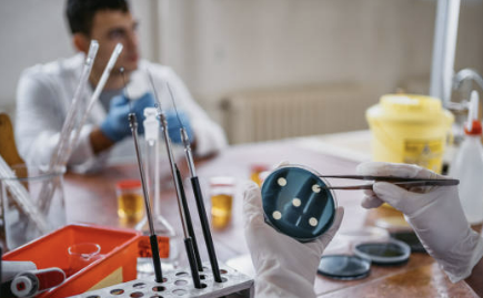 폐렴구균 예방접종 횟수 비용 무료 접종후 주의사항 총정리