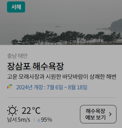 해수욕장 개장