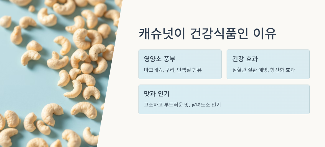 캐슈넛이 건강식품인 이유