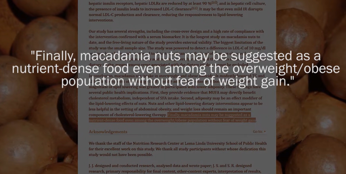 마카다미아의 효능