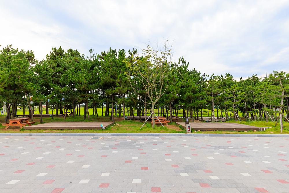 경북 울진 염전해변캠핑장 소개