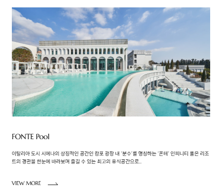 더시에나-인티니티풀