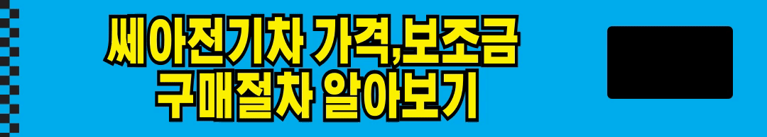 쎄아전기차 실구매 후기, 가격, 보조금 장 단점