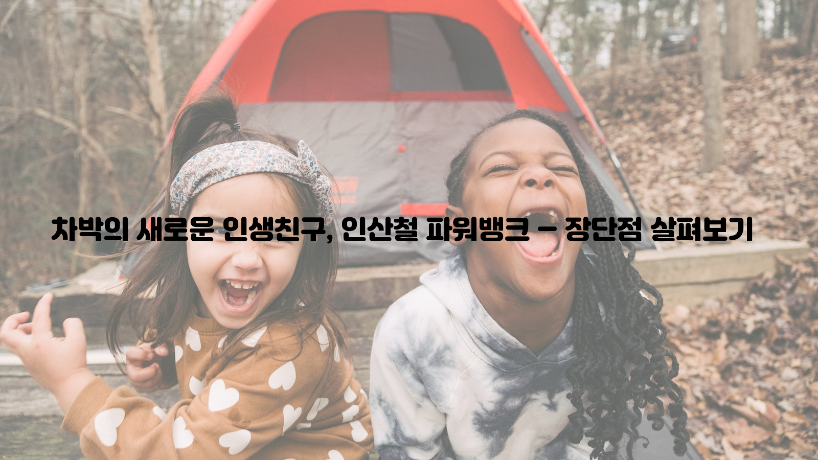 차박, 인생친구, 인산철 파워뱅크