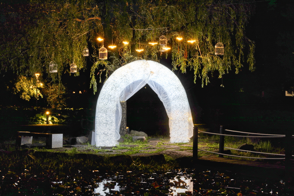 2024년 제22회 부여서동연꽃축제 기본일정과 프로그램 소개