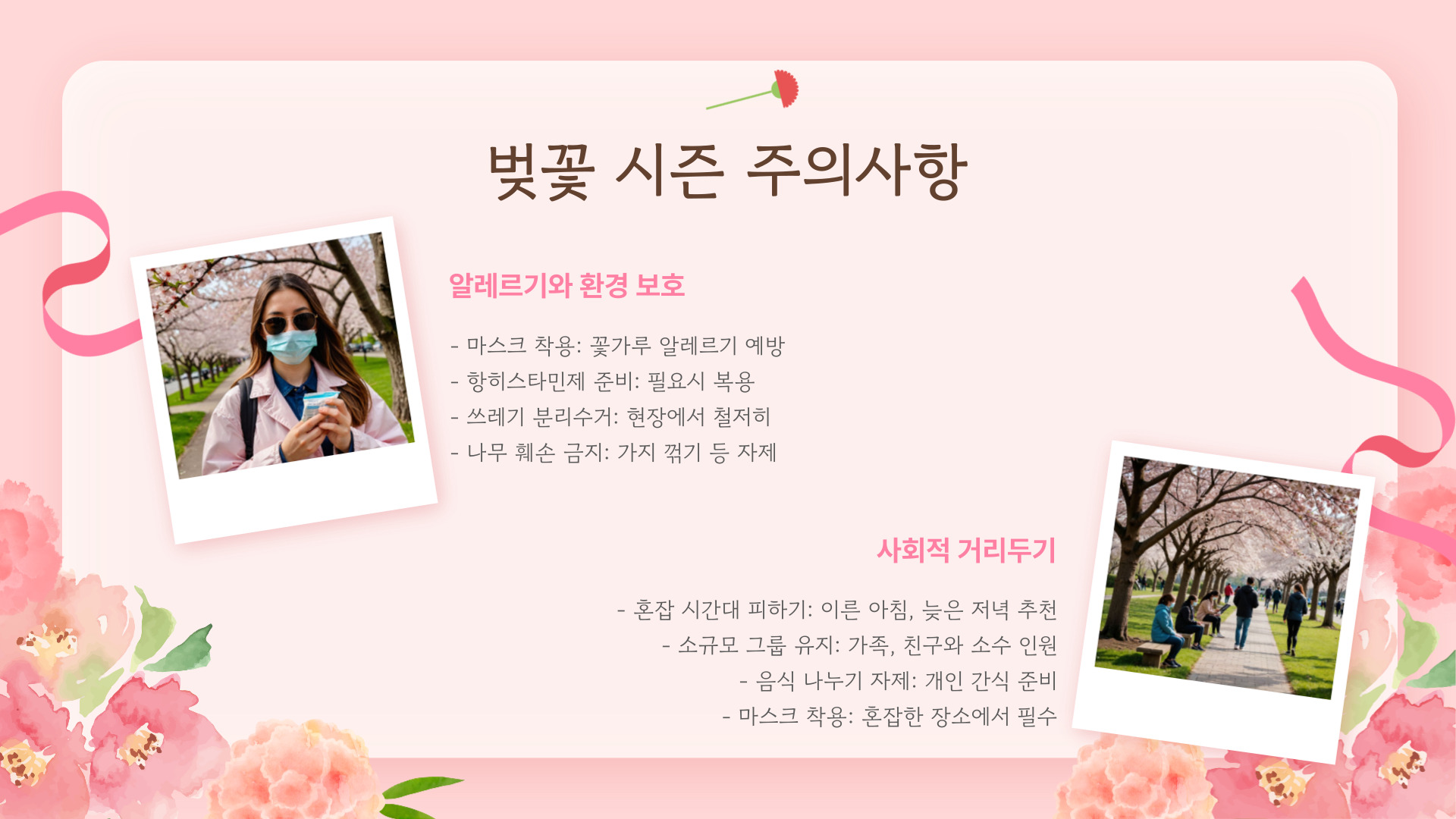 2025년 벚꽃 개화시기