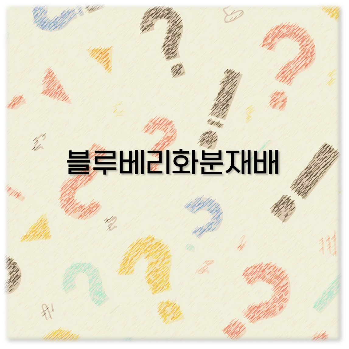 블루베리화분재배