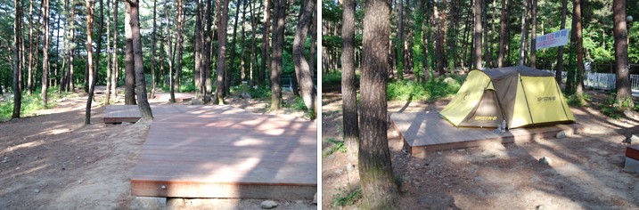 무릉계곡 힐링캠핑장