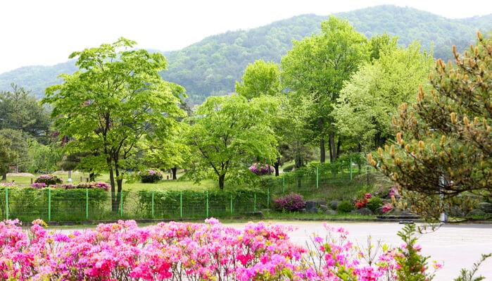 미동산수목원
