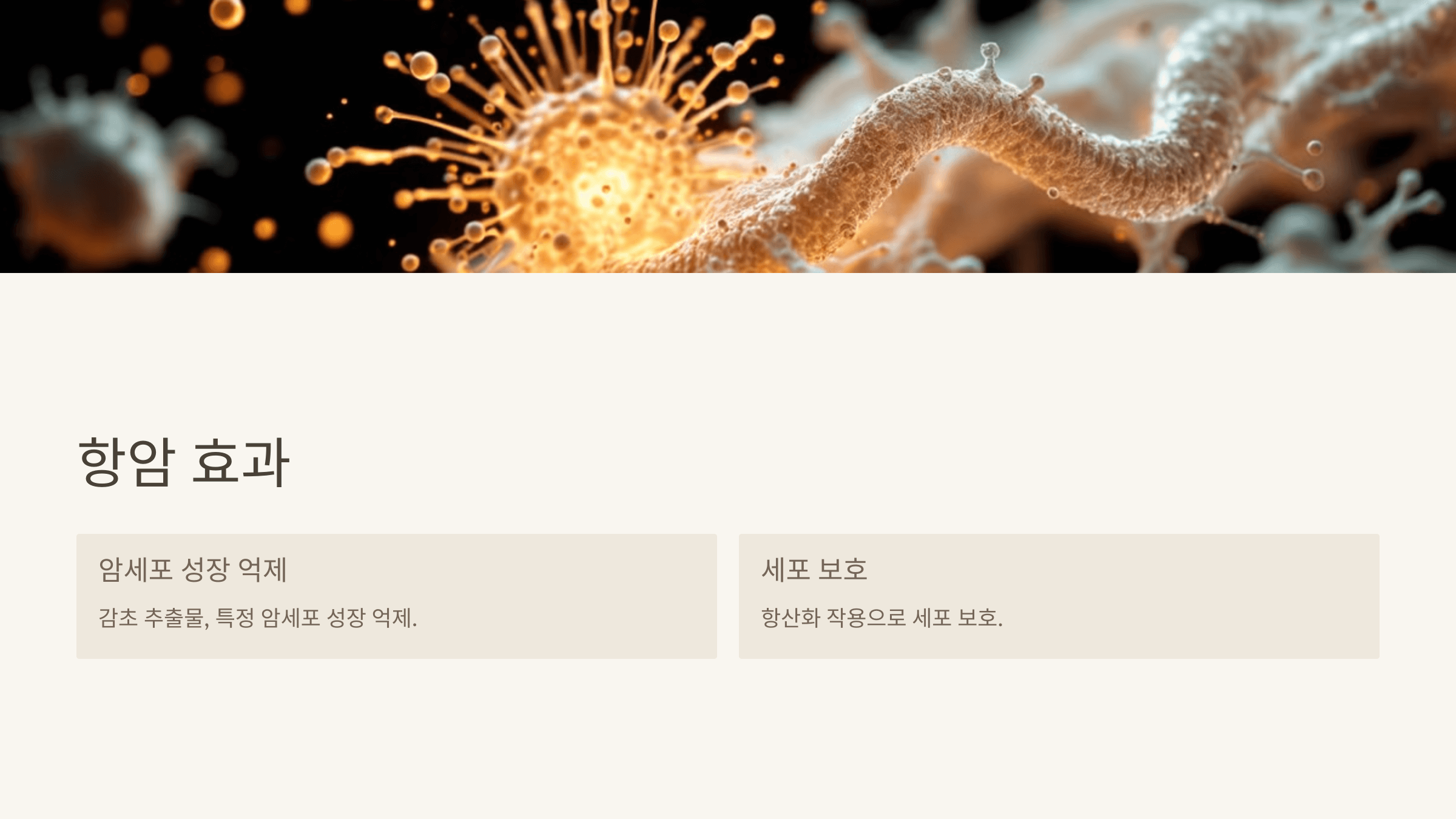 감초 사진입니다.