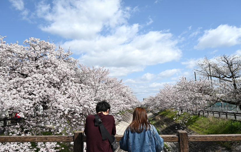 3월 국내여행지
