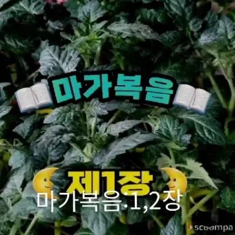 마가복음 15장 예수님의 헌신_21