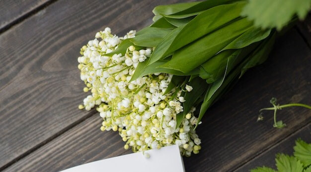 ์๋ฐฉ์ธ๊ฝ ํฌํ