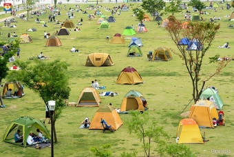 2025 한강공원 그늘막 허용구역 운영 재개