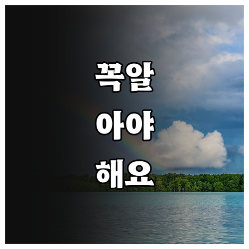 필수 확인 2025 가습기살균제 피해..