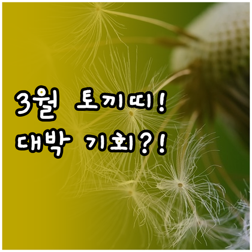 2026년 병오년 3월 토끼띠 총평 ..