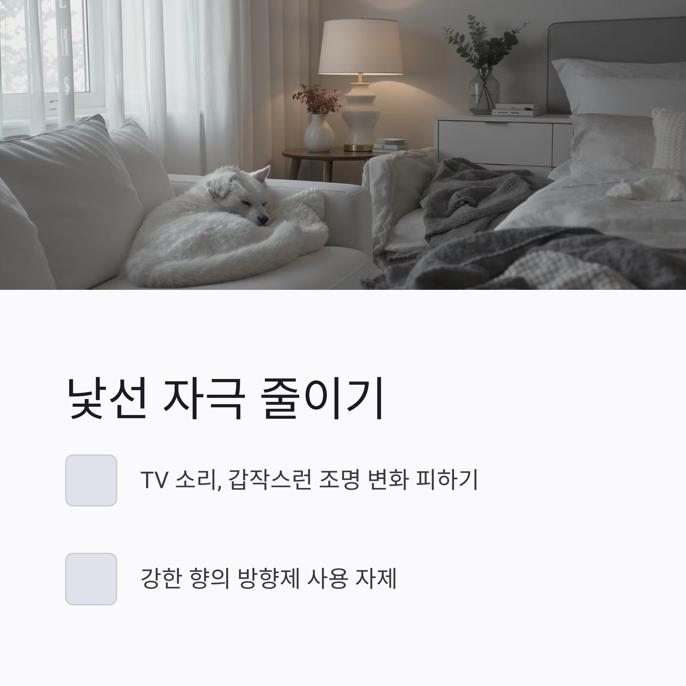 입양 후 첫 일주일, 반려동물과 친해지는 마법의 시간