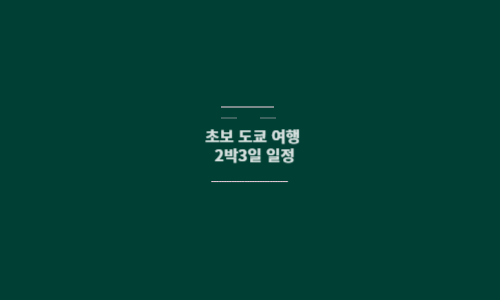도쿄 2박3일 일정