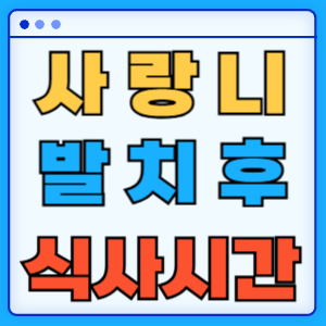 사랑니 발치