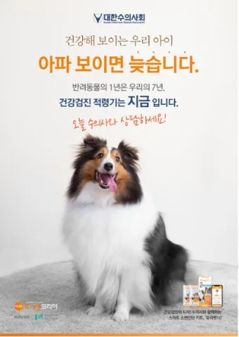 반려동물 건강 위한 최신 연구 동향 소개_10