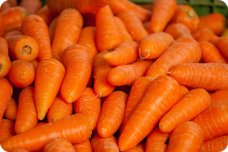 당근 영양성분