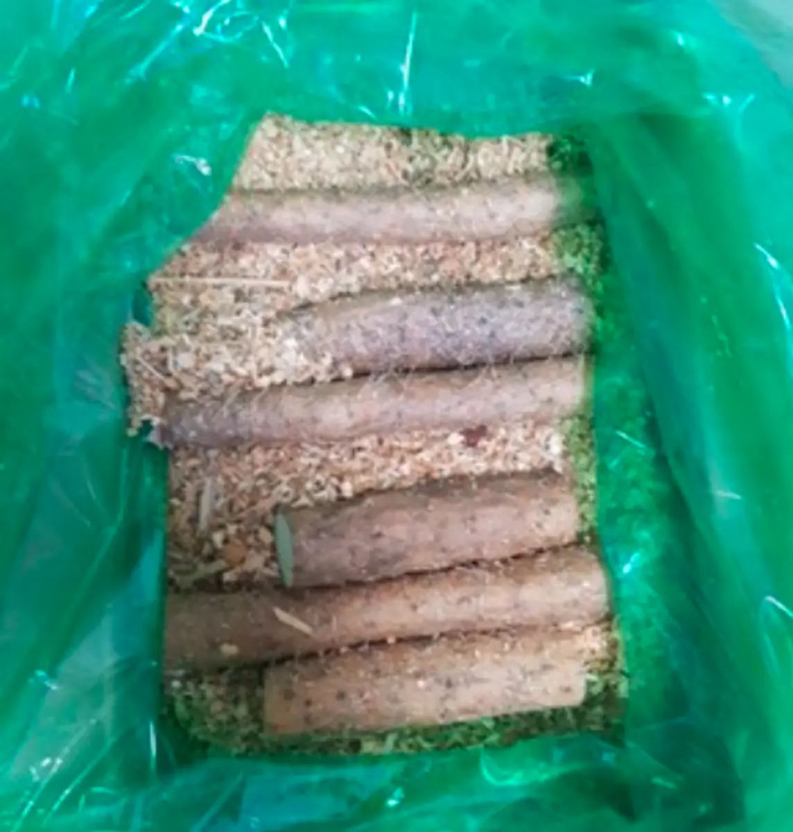 마사토 안동마 장마가 박스에 담긴 모습