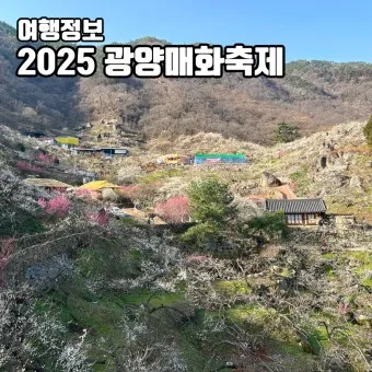 2025년 상반기 전국 봄꽃 임산물 축제 일정 예매_17
